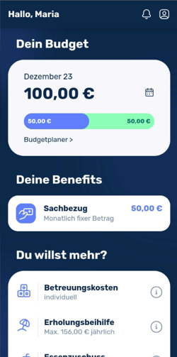 Wie bekomme ich ein Benefit-Budget-1