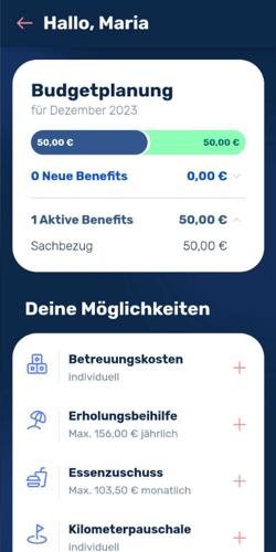 Wie bekomme ich ein Benefit-Budget-2