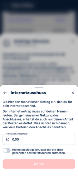 Was ist der Benefit Internetzuschuss-1