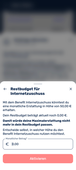 Was ist der Benefit Internetzuschuss-2