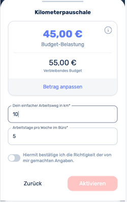 Was ist der Benefit Kilometerpauschale-1