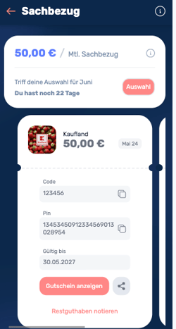 Was ist der Benefit Sachbezug-4