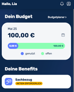Was ist der Benefit Sachbezug-7
