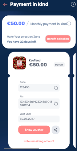 What is the benefit payment-in-kind-4