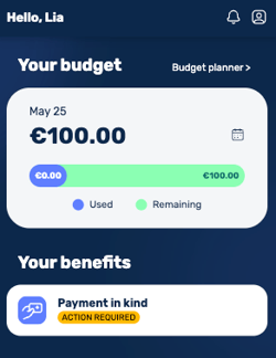What is the benefit payment-in-kind-7