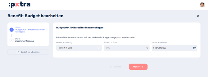 Wie lassen sich Budgets für Mitarbeiterinnen festlegen-2