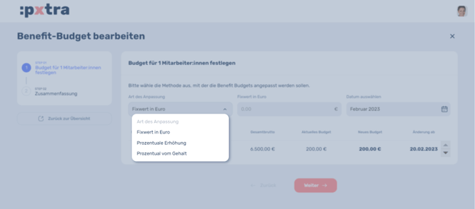 Wie lassen sich Budgets für Mitarbeiterinnen festlegen-3
